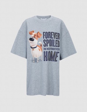 Grey Urban Revivo The Secret Life Of Pets Oversized Women's T-Shirts | 81597JMGU