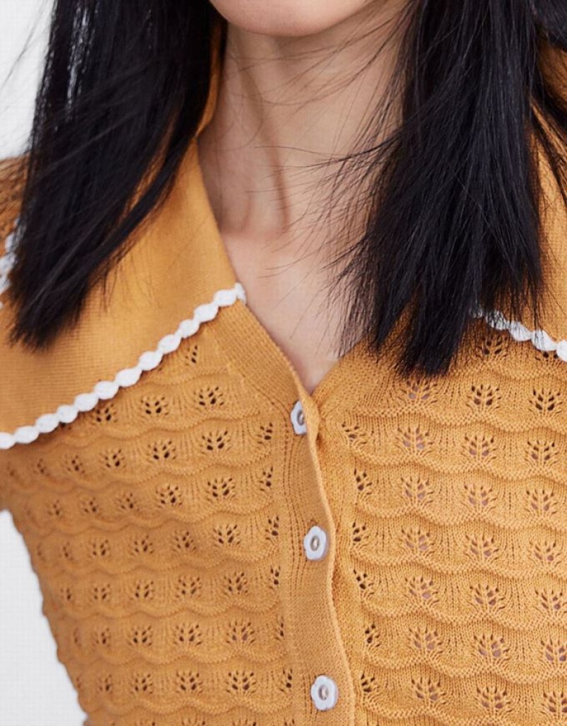 Apricot Urban Revivo Statement Collar Button Up Knitted Top Women's Cardigan | 63804RVZJ