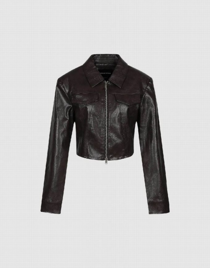 Brown Urban Revivo Cropped Zipper Front Vegan Women's Leather Jackets | 84302VHBQ